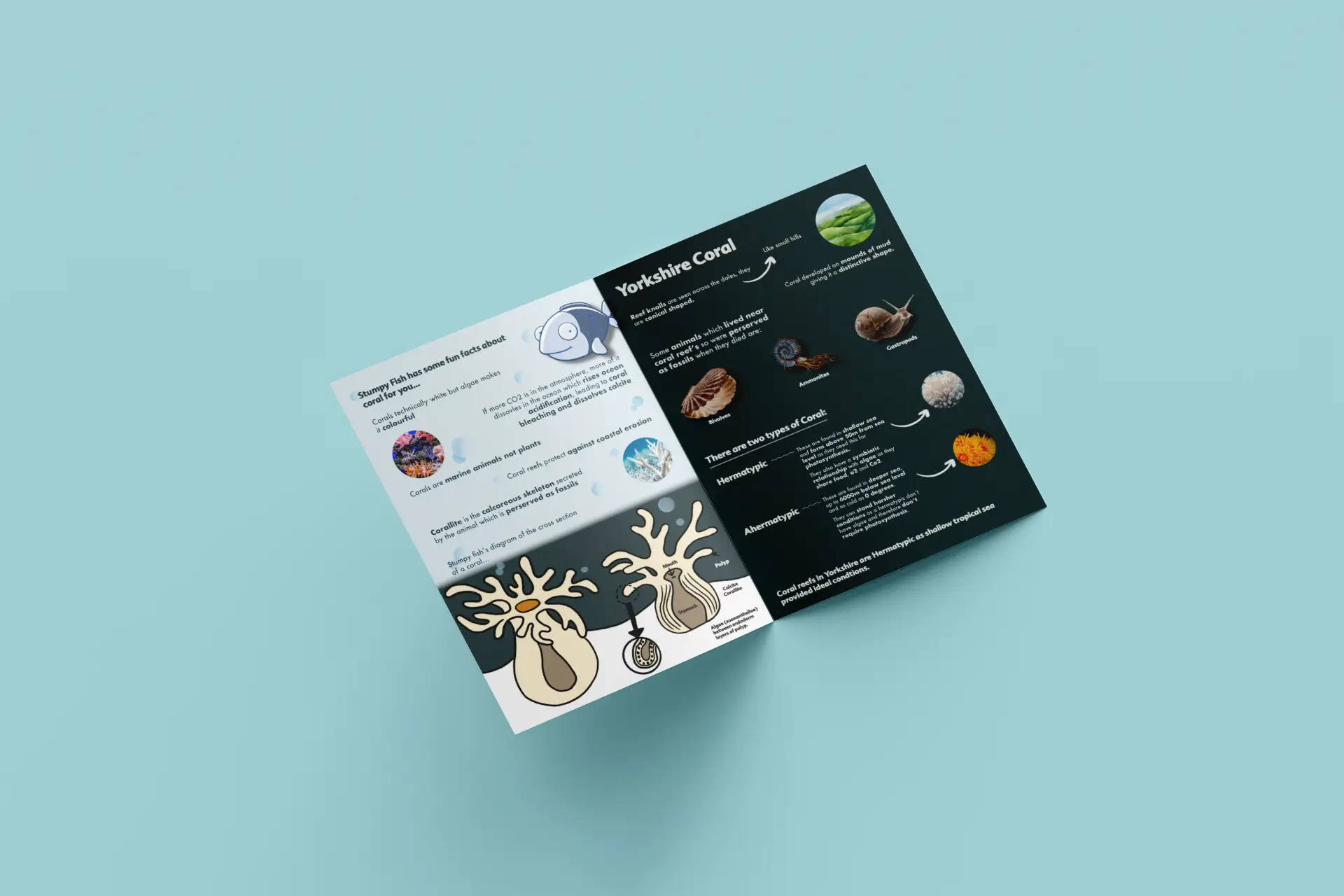 Stump Cross Caverns image